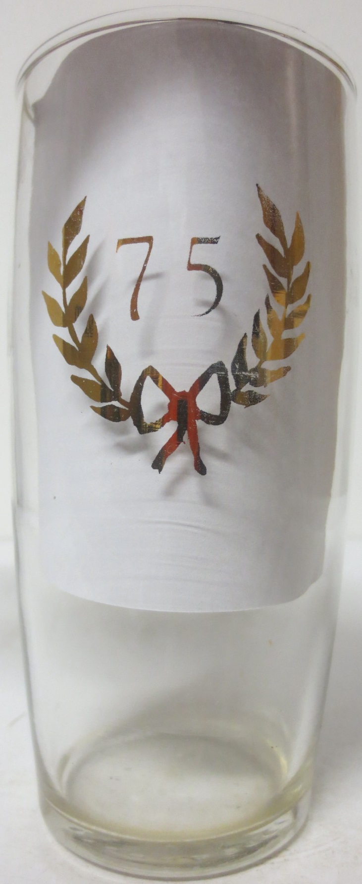 Speciál PIVOVAR BRANÍK 75 (0,3L) 